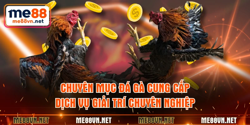 Chuyên mục đá gà cung cấp dịch vụ giải trí chuyên nghiệp