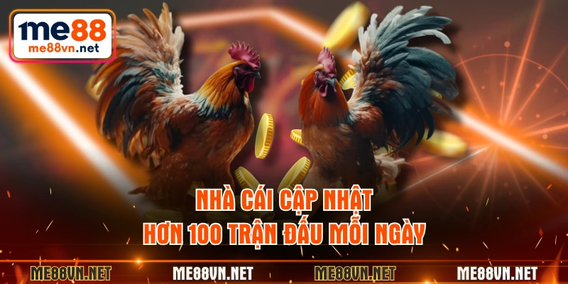 Nhà cái cập nhật hơn 100 trận đấu mỗi ngày