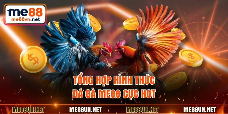 Tổng hợp hình thức đá gà ME88 cực hot